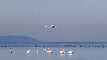 Lake Bafa's Water Level Rebounds with Recent Rainfall, Boosting Biodiversity and Ecosystem Recovery